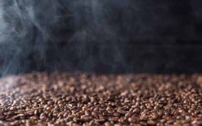 Coffee Beans: Understanding the Types and Their Impact