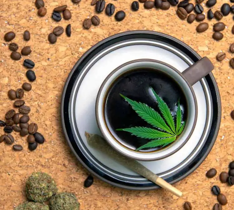 How to Infuse Coffee Beans with CBD