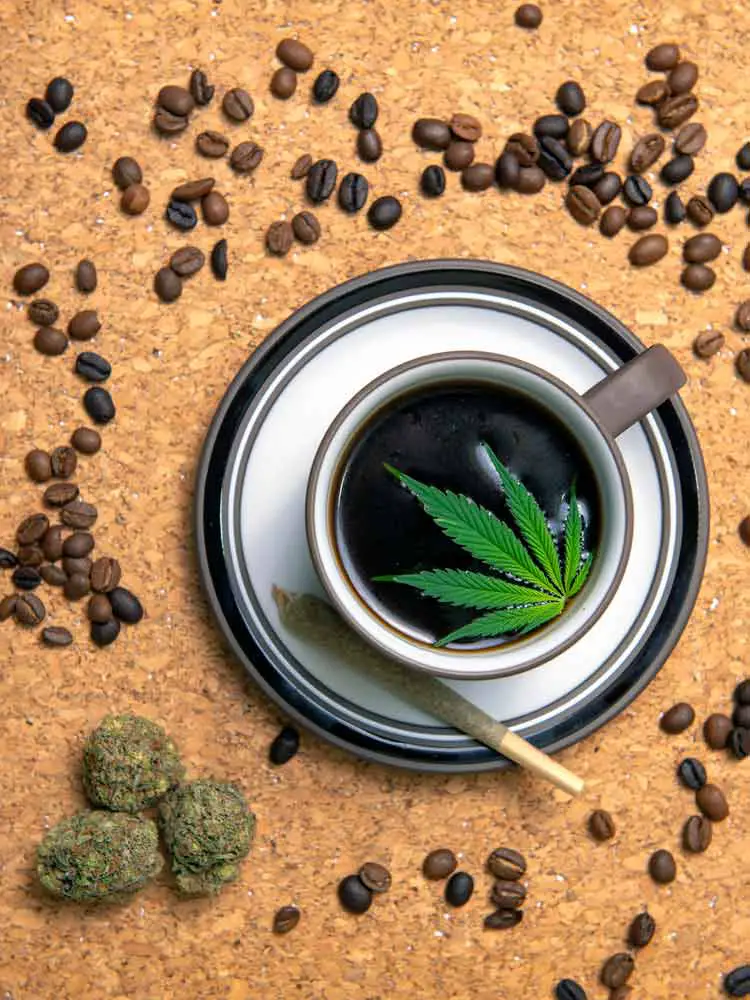Infuse Coffee Beans with CBD