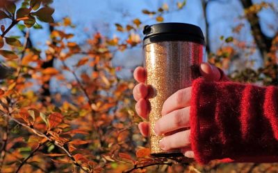 Ways to Make Coffee Brewing More Sustainable and Discussing Its Environmental and Social Impact