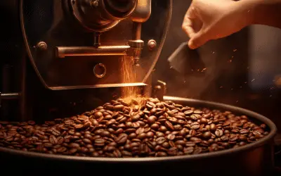 Coffee Roasting: A Beginner’s Guide
